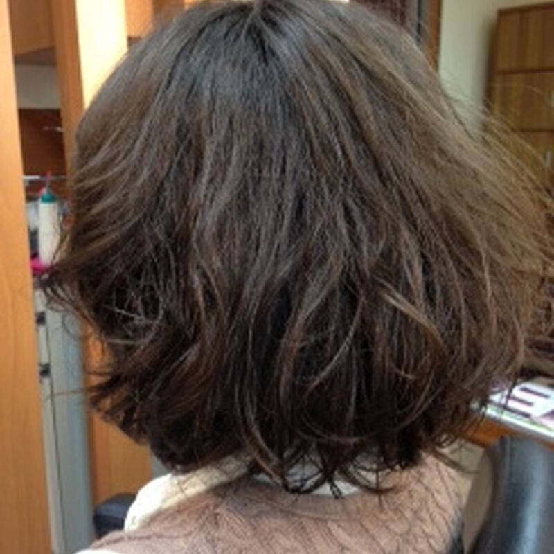 画像1353：STYLE