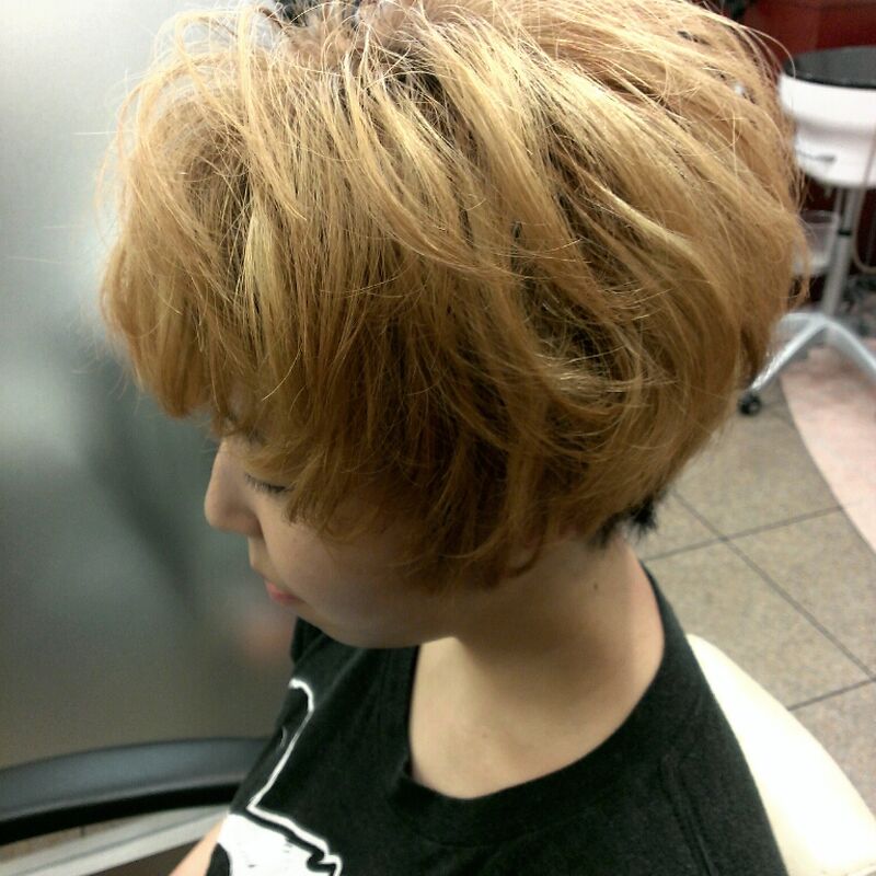 画像1387：STYLE