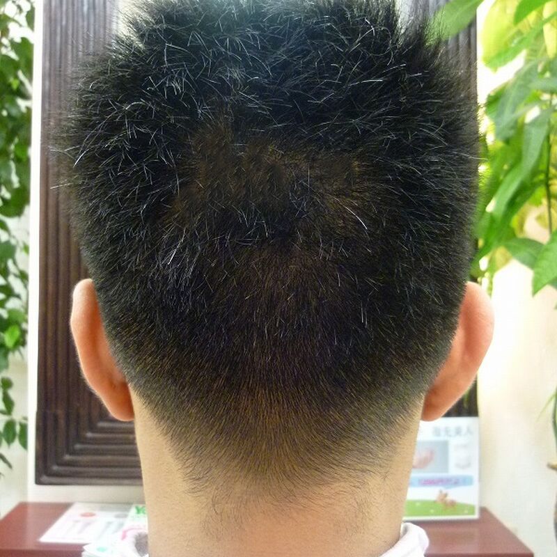 画像1443：STYLE